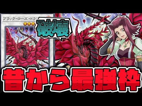 ホビーの動画サムネイル - 【遊戯王】 シグナー竜の中で明らかに強かった！ 美しき破壊の象徴 『ブラック・ローズ・ドラゴン』 【ゆっくり解説】