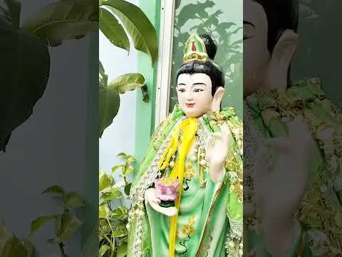 TỊNH TÂM. Ở NHÀ CUỐI TUẦN NHẸ NHÀNG