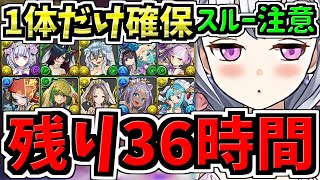 【残り36時間】スルー注意！1体だけ確保！交換優先度ランキング！ブライダル交換所解説！最強キャラを後悔のないように交換しよう！【パズドラ】