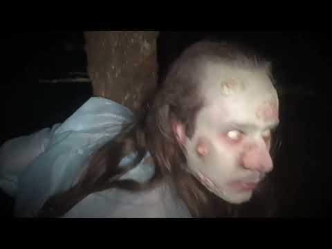 Biting Dolls - Blue Moon Of Kentucky (cover // Elvis Presley) Halloween Music Video