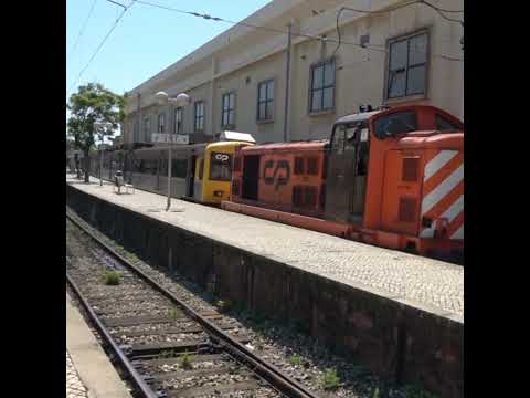 CP 1429 Engine Sound  and Shunting #cp1400 #diesellocomotive #views #subscribe #trains