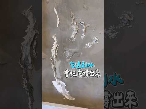颱風後牆面大漏水?來兩組工班都找不到? #漏水 #水管 #工程