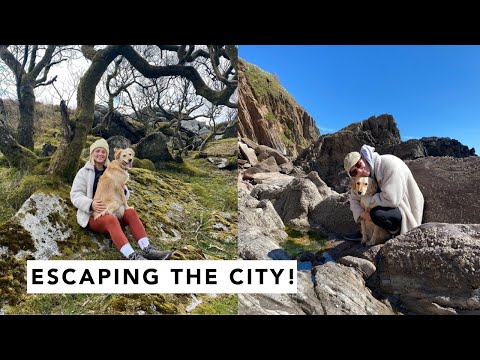 ESCAPING THE CITY! | Estée Lalonde