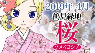 【鶴見緑地】大池の桜（ソメイヨシノお花見）【オリジナルBGM】
