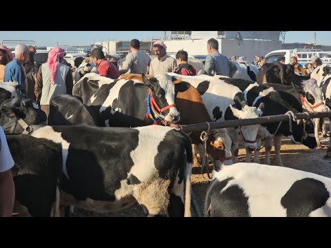 سوق البقر في بشمارون حركة السوق سعر اللحم بتاريخ 9/20لتواصل معنا 0997192642