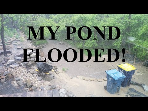 My Pond Flooded! Friday May 6, 2022 my lowest pond flooded due to a quick cloudburst rain storm.  It flooded my lower