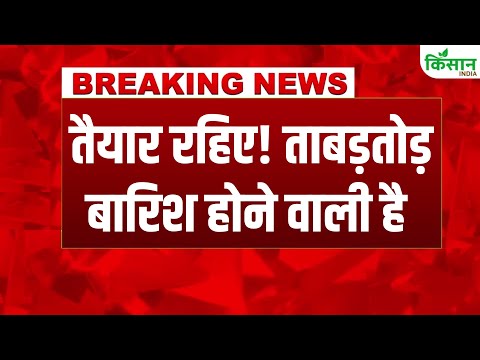 #breakingnews Weather Update: Western Disturbance का खेल, UP-Rajasthan, Bihar में Heavy Rain Alert