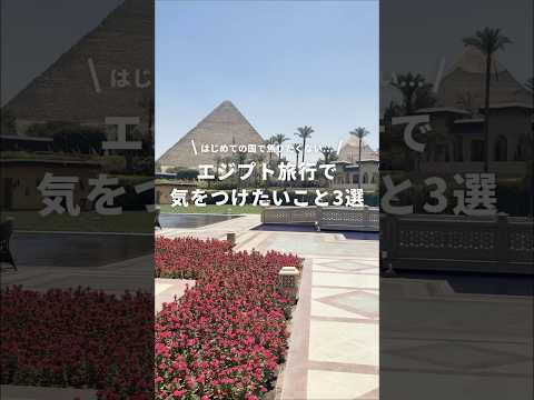 エジプト旅行者必見！気をつけたいこと3選🇪🇬 #newt #海外旅行 #エジプト