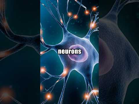 Why You Should Learn a New Skill in 2024 - How Learning New Skills Can Change Your Brain Chemistry