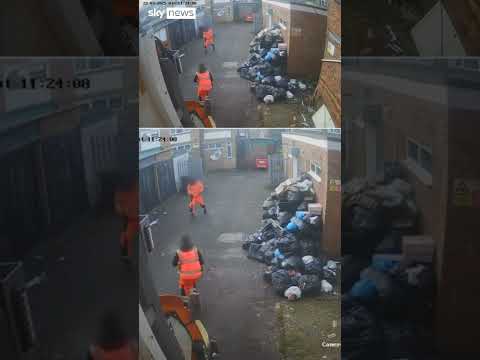 Rats chase rubbish clean-up workers