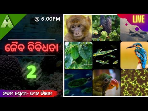 ଜୈବ ବିବିଧତା  2 |  Life science   Class 9 |  Live Class |  Aveti Learning