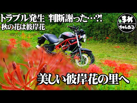 【モトブログ バイク女子】休みの日にはバイクに乗りたいッ!行った先でも楽しみたい…選んだ秋の景色を眺める前に…一人は相談する相手もいない…とにかく進む広島→山口→島根 吉賀町の美しい景色