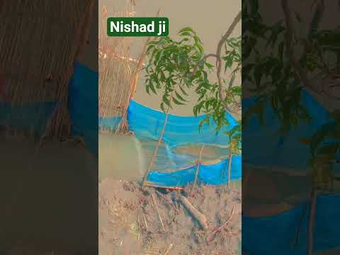 न्यू वीडियो ट्रेंडिंग सोंग माला का राज