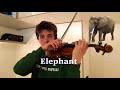 Son d animaux avec un violon