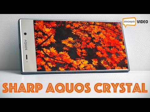 Обзор Sharp Aquos Crystal: японский безрамочный смартфон - UC1-oxC4OEeuiPlJZjyiRpLQ