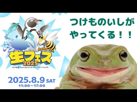 【🔴live】8月9日(土)生フェスに向けてのはなし
