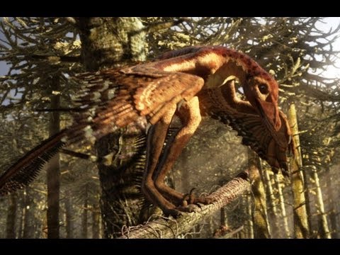 Sinornithosaurus: A poisonous bite - deadly day or night - Planet Dinosaur - BBC - UCwmZiChSryoWQCZMIQezgTg