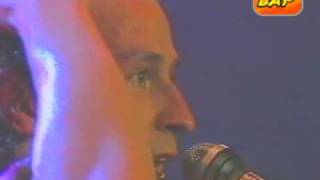 BAP - live - Verdammt lang her - 1982