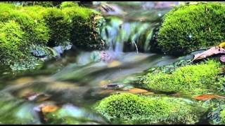 Trinket - Christine Leakey - relaxation music