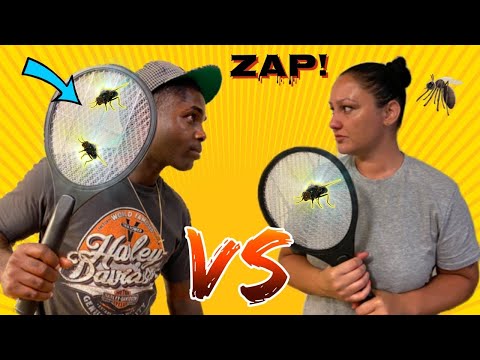 WHO KILLS THE MOST FLIES CHALLENGE | TESTING OUR ELECTRIC FLY ZAPPER - MOST KILLS
