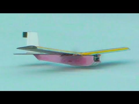 RC Twin FPV Plane 1st Flight - UCq2rNse2XX4Rjzmldv9GqrQ