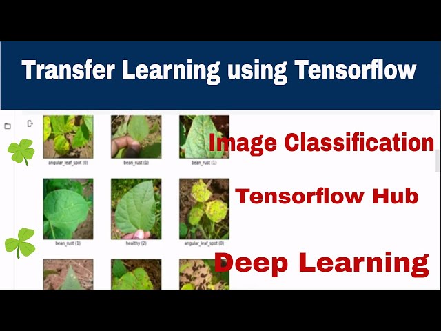 How to Use Transfer Learning for Image Classification with TensorFlow