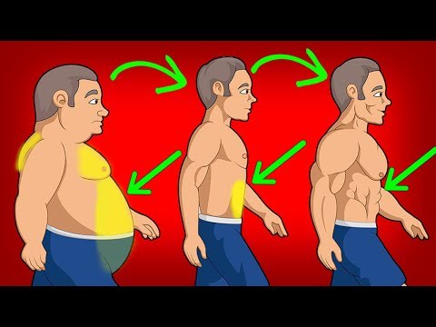 5 Simple Steps to Lose Belly Fat Fast - UC0CRYvGlWGlsGxBNgvkUbAg