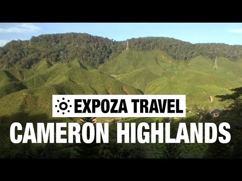 Cameron Highlands (Malaysia) Vacation Travel Video Guide - UC3o_gaqvLoPSRVMc2GmkDrg