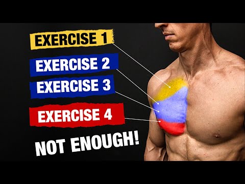 The PERFECT Chest Workout (Sets and Reps Included) - UCe0TLA0EsQbE-MjuHXevj2A