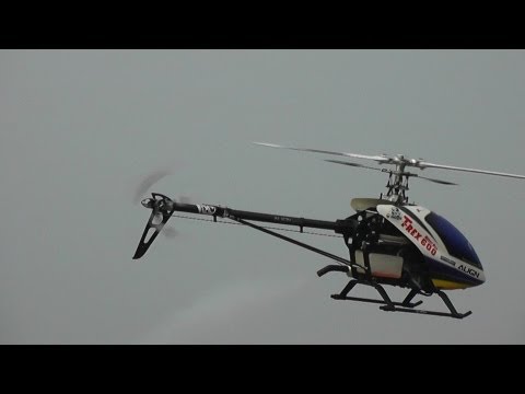 TREX600 Nitro Pro Limited Edition -- New Year flight - UCsFctXdFnbeoKpLefdEloEQ