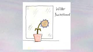 Wilder - Softly