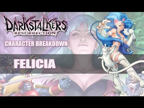 DSR: Felicia Character Breakdown - UC3z983eBiOXHeS7ydgbbL_Q