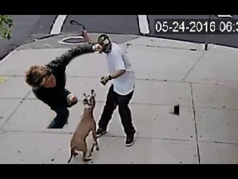 Dog lover knocks out a dog abuser!!! - UCI-mqa072aPsYSijI3pzxzw