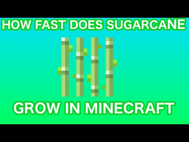 How Long Does it Take for Sugarcane to Grow in Minecraft?