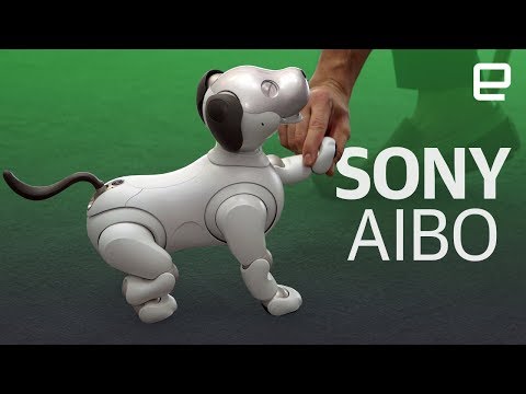 Sony's new Aibo robot first look - UC-6OW5aJYBFM33zXQlBKPNA