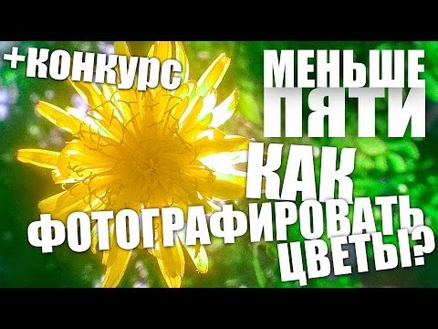 Меньше Пяти - Как фотографировать цветы? #МеньшеПяти - UCen2uvzEw4pHrAYzDHoenDg