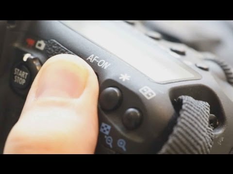 Back-Button Focus: Why EVERYONE should use that AF-On autofocus button - UCDkJEEIifDzR_2K2p9tnwYQ