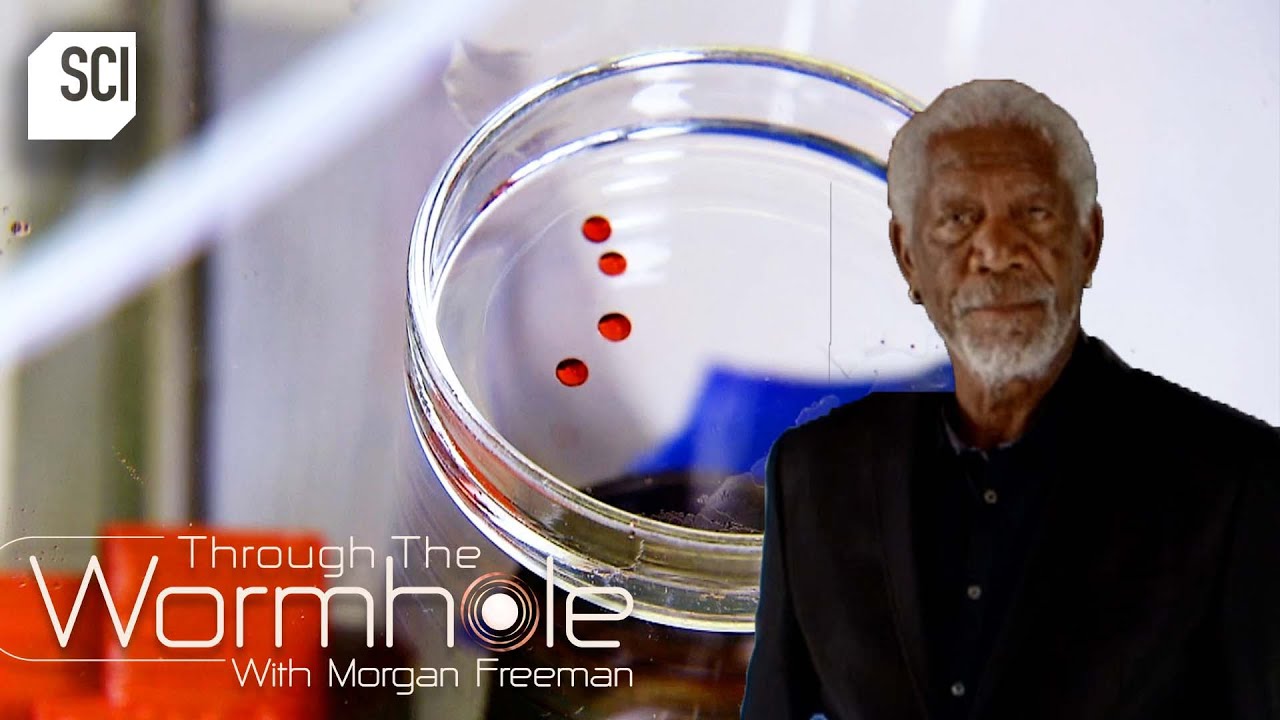 A Look into the Evolutionary Process | Through the Wormhole with Morgan Freeman | Science Channel