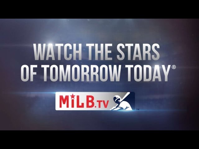 Can You Watch Minor League Baseball On Tv?