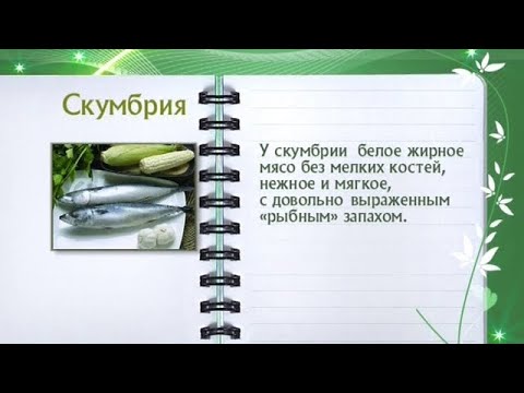 Кулинарная энциклопедия - Скумбрия - UC7XBjhXnmmXFsxmnys9PmDQ