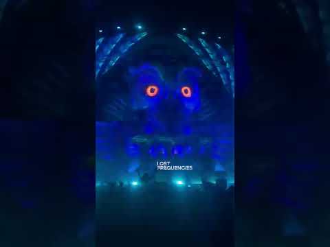 Lost Frequencies - Black & Blue At EDC Mexico 2022