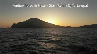 Audiowhores & Haze - Stay (Remix Dj Tartaruga)