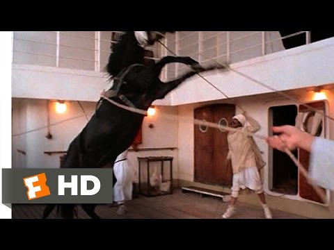 The Black Stallion (1/11) Movie CLIP - Alec Meets the Stallion (1979) HD - UC3gNmTGu-TTbFPpfSs5kNkg