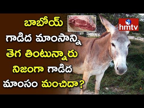 Donkey Meat Good For Health - Is It Real Or Fake? | Doctors About Donkey Meat | hmtv