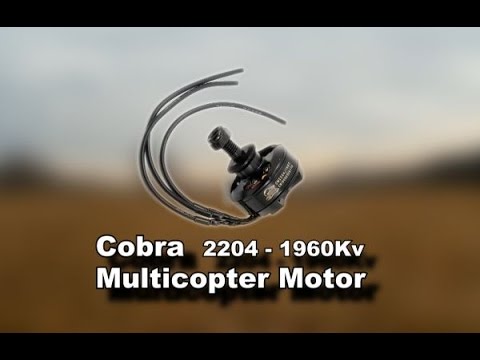 Cobra 2204 / MultiCopter Motor - UCoM63iRNL_hyz5bKwtZTg3Q