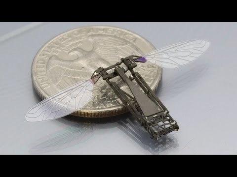 TOP 10 Amazing Micro-Robots - UCoo0Bg4KMLADhe8M96fpWYQ