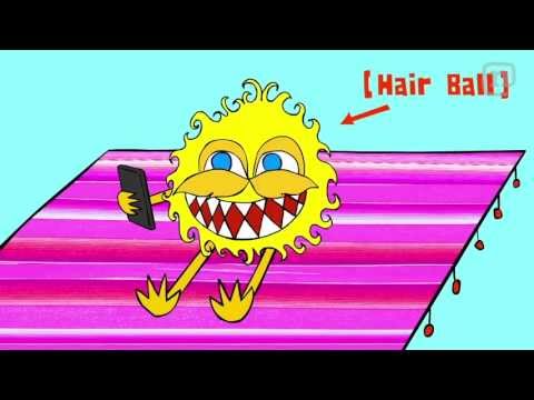 Hair Ball Animated Skate Spots Tour!: Skate Sketch Ep. 6 - UCsert8exifX1uUnqaoY3dqA