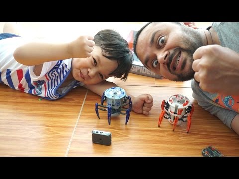 Battle Spider Hexbug Battle Spiders Arish Vs AliShanMao - UCsFctXdFnbeoKpLefdEloEQ