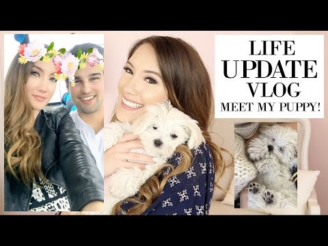 LIFE UPDATE! NEW PUPPY, MY BOYFRIEND & HOUSE UPDATE! | Blair Fowler - UC48DOiEvCDu3sThBijwkQ1A