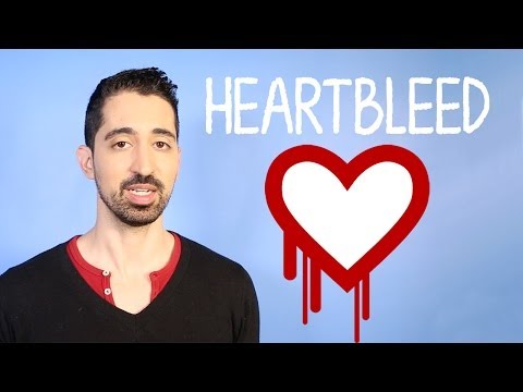 What Is the Heartbleed Encryption Bug? | Mashable Explains - UCL8Nxsa1LB9DrMTHtt3IKiw